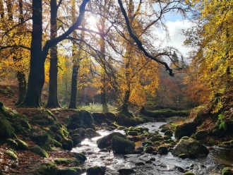 TY Kippure 14 Nov2023 21 
