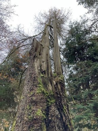 TY Kippure 14 Nov2023 5 
