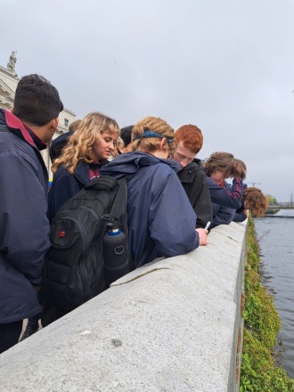 TY Neo Classics Walk 2023 2 
