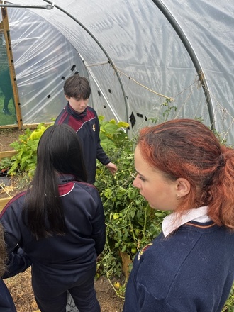 TY planting Spring Bulbs 5 Sept24 IMG 6042 
