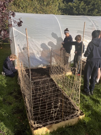 Chaos bulb planting IMG 1631 
