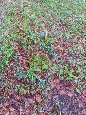 Local Geo News Feb2024 2 
