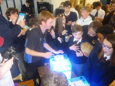 Green Schools Action Day: Save our Seahorses