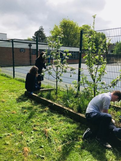 TYs work on Biodiversity Garden during Science classes