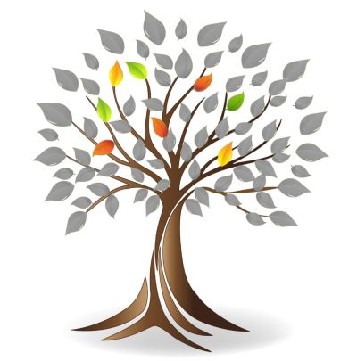 Mary Elmes Tree Of Life https://hetireland.org/programmes/mary-elmes-prize/the-mary-elmes-tree-of-life/
