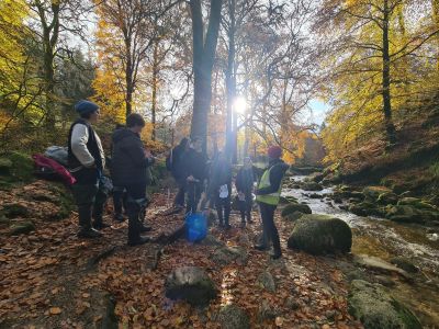 TY's go to Kippure on Geography-in-action day