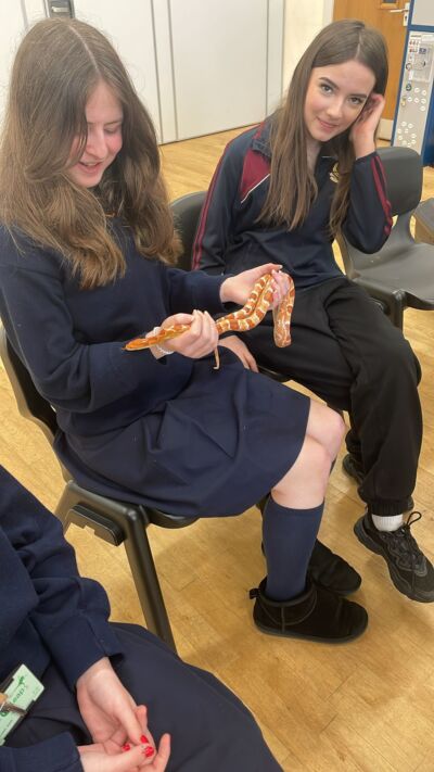 1st Years experience immersive reptile workshop
