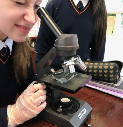 2nd Year Science students work on their CBA's