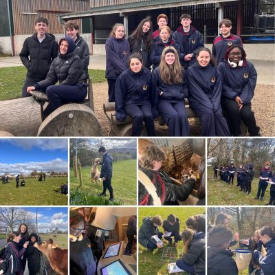 5th Year Biology students go to Airfield Estate to do Ecology and Habitat Study