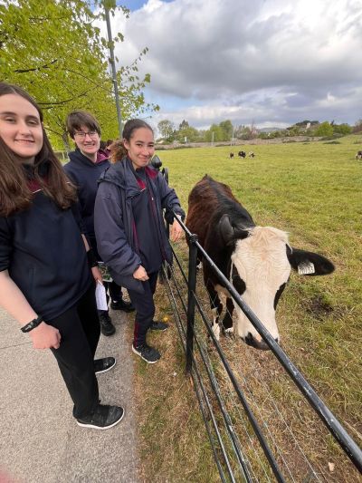 5th Year Biology students go on Ecology Field Trip in Airfield Estate