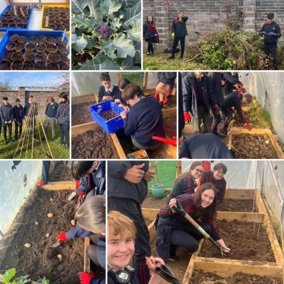 Polytunnel gardening progress for Spring 2025