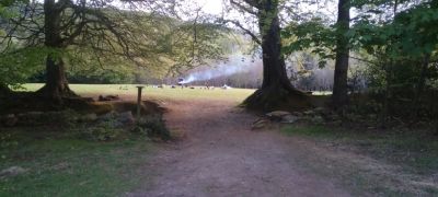 TY Rite Journey - Overnight camping in Larch Hill