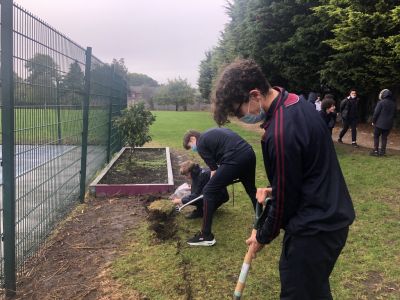 The Crocus Project - Global Citizenship Education - History & Green Schools