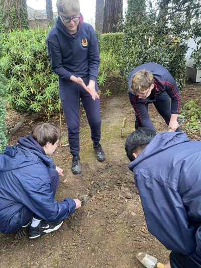 Transition Year: The Crocus Project