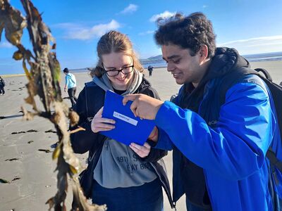 Green Schools visit Bull Island
