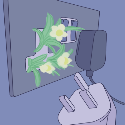 Department of Education: Schools experience of implementing the Wellbeing promotion process using School Self Evaluation in primary and post-primary schools.