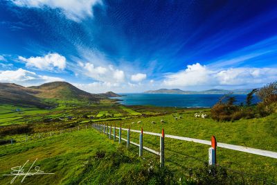 Stratford celebrates Seachtain na Gaeilge: 9 - 12 March