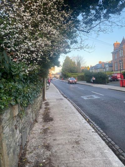 Stratford Geo Local News Update