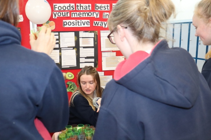 SciFest@Schools Science 
