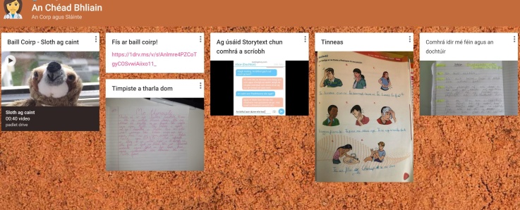 1St Year Irish Padlet 
 1St Year Irish Padlet