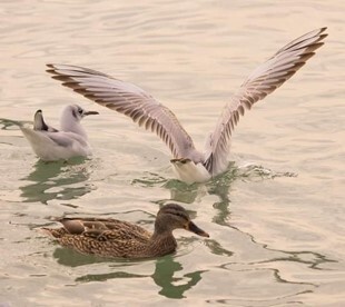 Eye on Nature Wellbeing Competition: 1st Prize photo M. Cazan (2nd Year)
