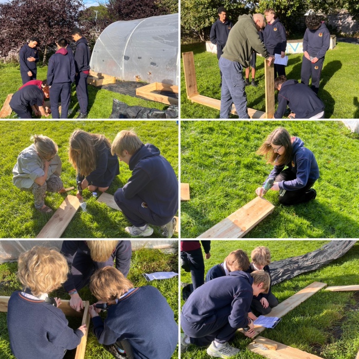 4th Years Building Raised Beds
4th Years Building Raised Beds
