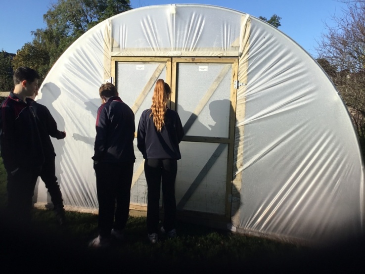 Polytunnel 11 Oct2023 IMG 0380
Polytunnel 11 Oct2023 IMG 0380