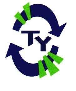 Transition Year Logo www.education.ie (Department of Education and Skills)
