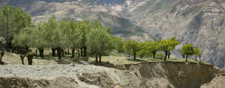 Afghanistan 
 Afghanistan