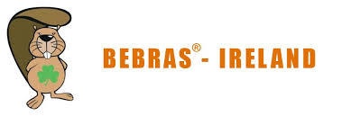 Bebras Challenge Ireland 
