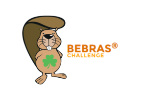 Bebras Nat Finals 
