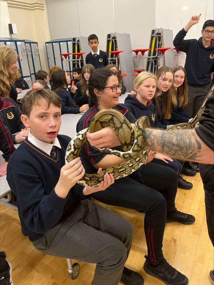 Cover Midlands Reptile processed 570 FF0 C6 915 F 4 D68 BDBF 133 DF5 A1225 F 
