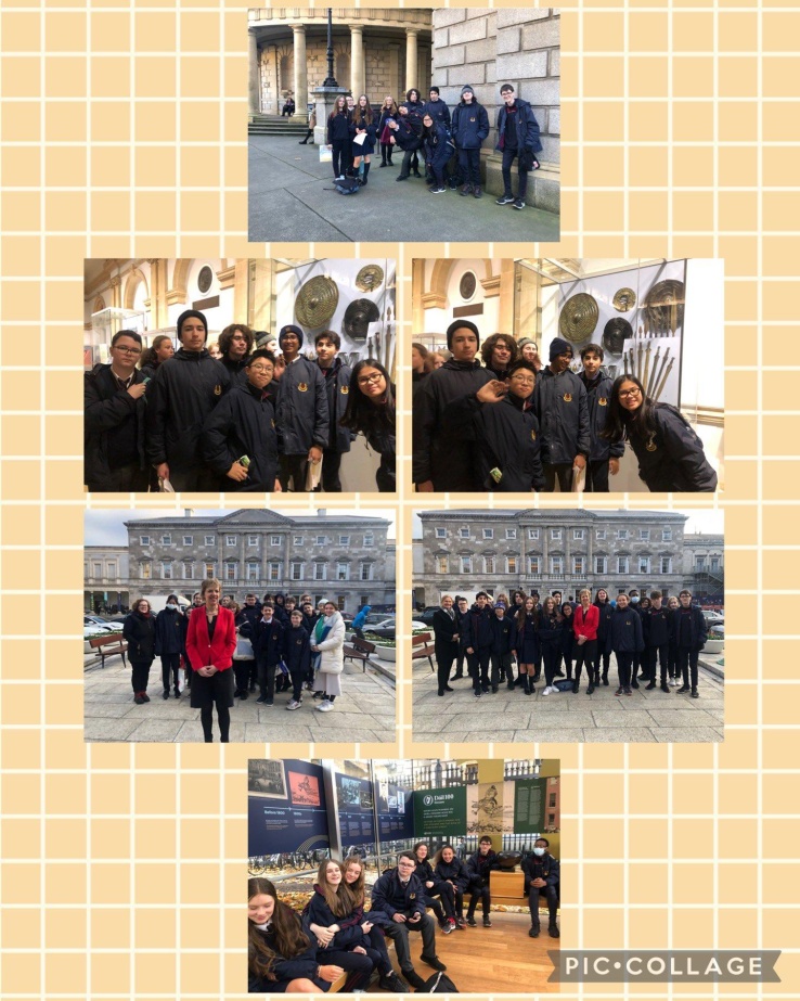 Dail collage 8 Dec2022 
 Dail collage 8 Dec2022