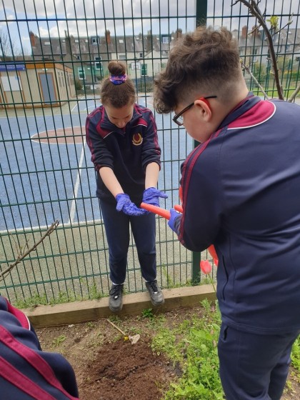 1St Years Spring Planting 20220407 142849 
